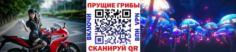 Купить  Аксай  Псилоцибиновые грибы мухоморы 